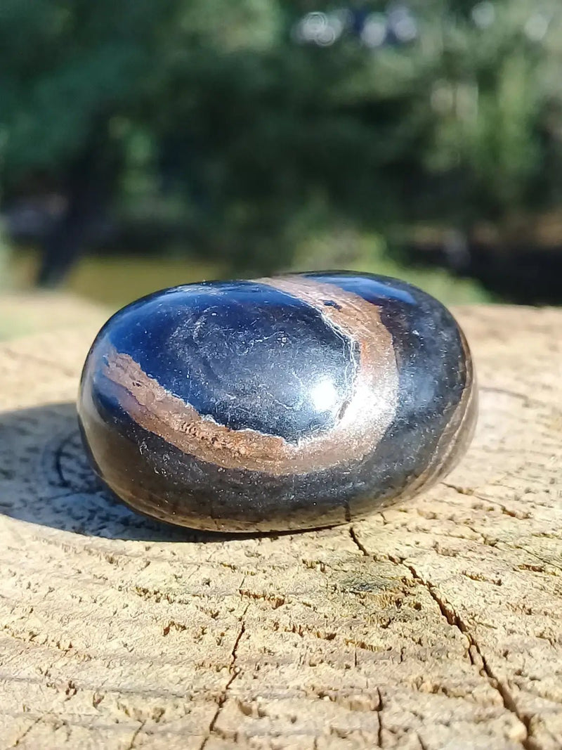 Chargez l&#39;image dans la visionneuse de la galerie, Stromatolite pierre roulée Grade A ++++ Stromatolite pierre roulée
