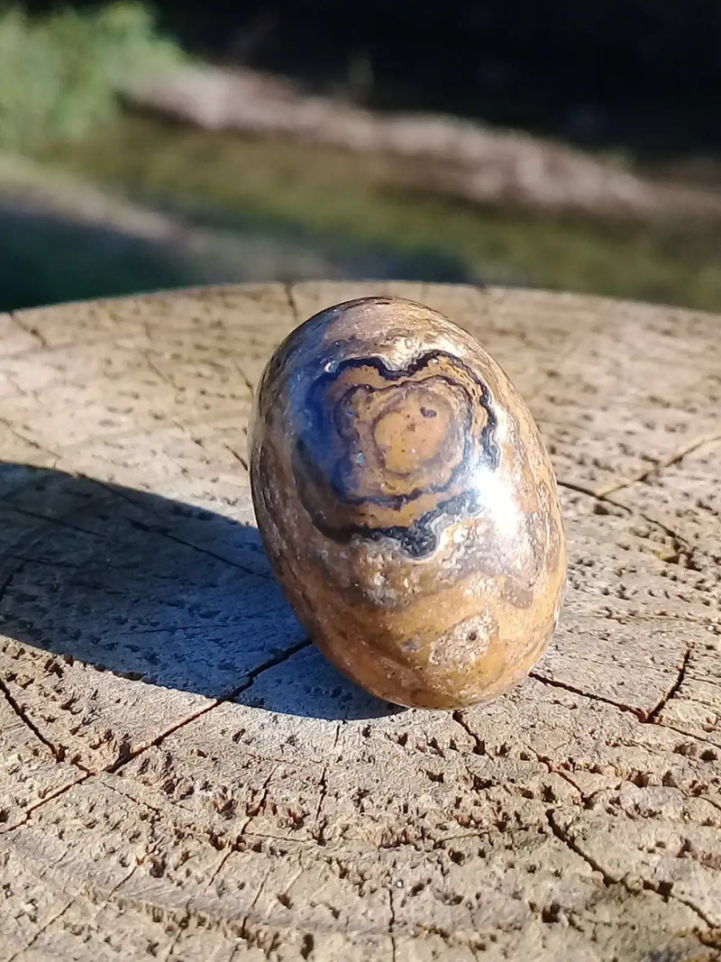 Load image into Gallery viewer, Stromatolite pierre roulée Grade A ++++ Stromatolite pierre roulée
