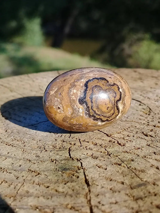 Stromatolite pierre roulée Grade A ++++ Stromatolite pierre roulée