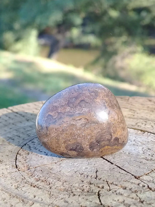 Stromatolite pierre roulée Grade A ++++ Stromatolite pierre roulée