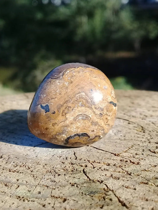 Stromatolite pierre roulée Grade A ++++ Stromatolite pierre roulée