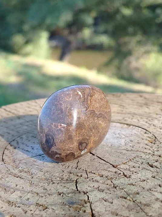 Stromatolite pierre roulée Grade A ++++ Stromatolite pierre roulée