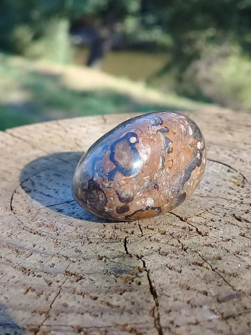 Load image into Gallery viewer, Stromatolite pierre roulée Grade A ++++ Stromatolite pierre roulée
