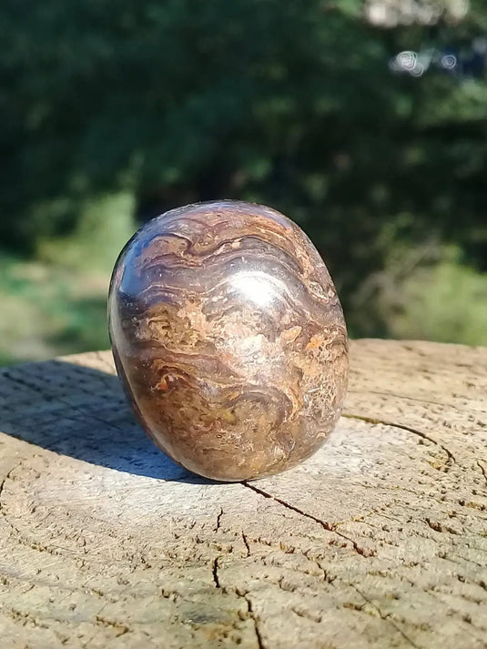 Stromatolite pierre roulée Grade A ++++ Stromatolite pierre roulée