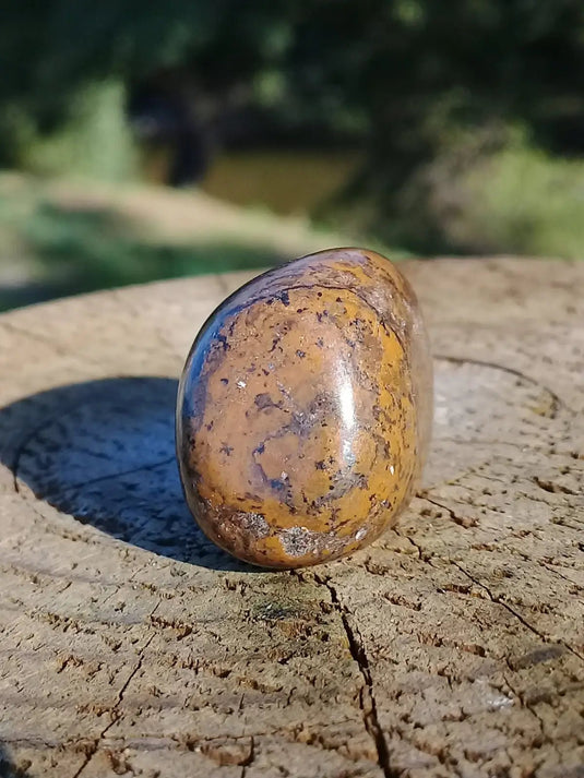 Stromatolite pierre roulée Grade A ++++ Stromatolite pierre roulée