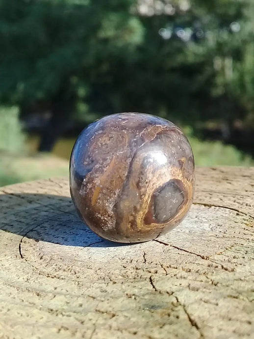 Stromatolite pierre roulée Grade A ++++ Stromatolite pierre roulée