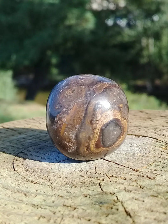 Stromatolite pierre roulée Grade A ++++ Stromatolite pierre roulée