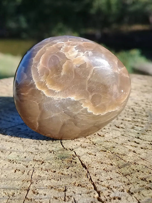 Stromatolite pierre roulée Grade A ++++ Stromatolite pierre roulée