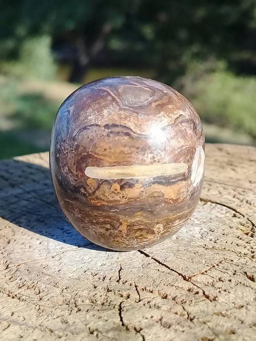 Stromatolite pierre roulée Grade A ++++ Stromatolite pierre roulée