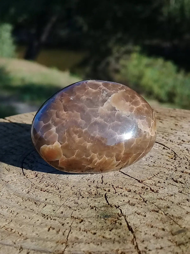 Chargez l&#39;image dans la visionneuse de la galerie, Stromatolite pierre roulée Grade A ++++ Stromatolite pierre roulée
