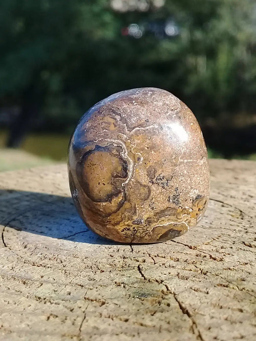 Stromatolite pierre roulée Grade A ++++ Stromatolite pierre roulée