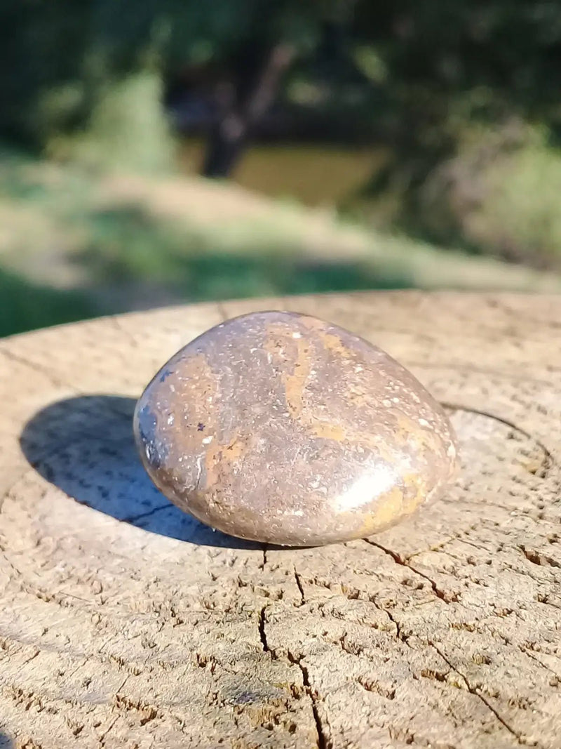 Chargez l&#39;image dans la visionneuse de la galerie, Stromatolite pierre roulée Grade A ++++ Stromatolite pierre roulée
