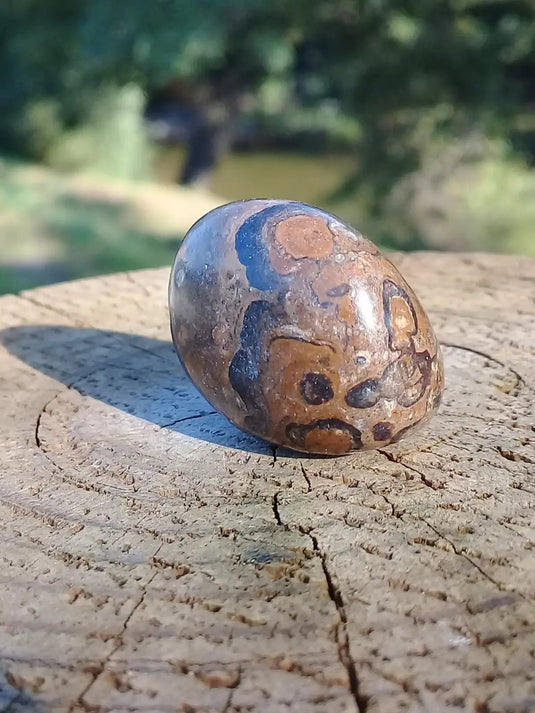 Stromatolite pierre roulée Grade A ++++ Stromatolite pierre roulée