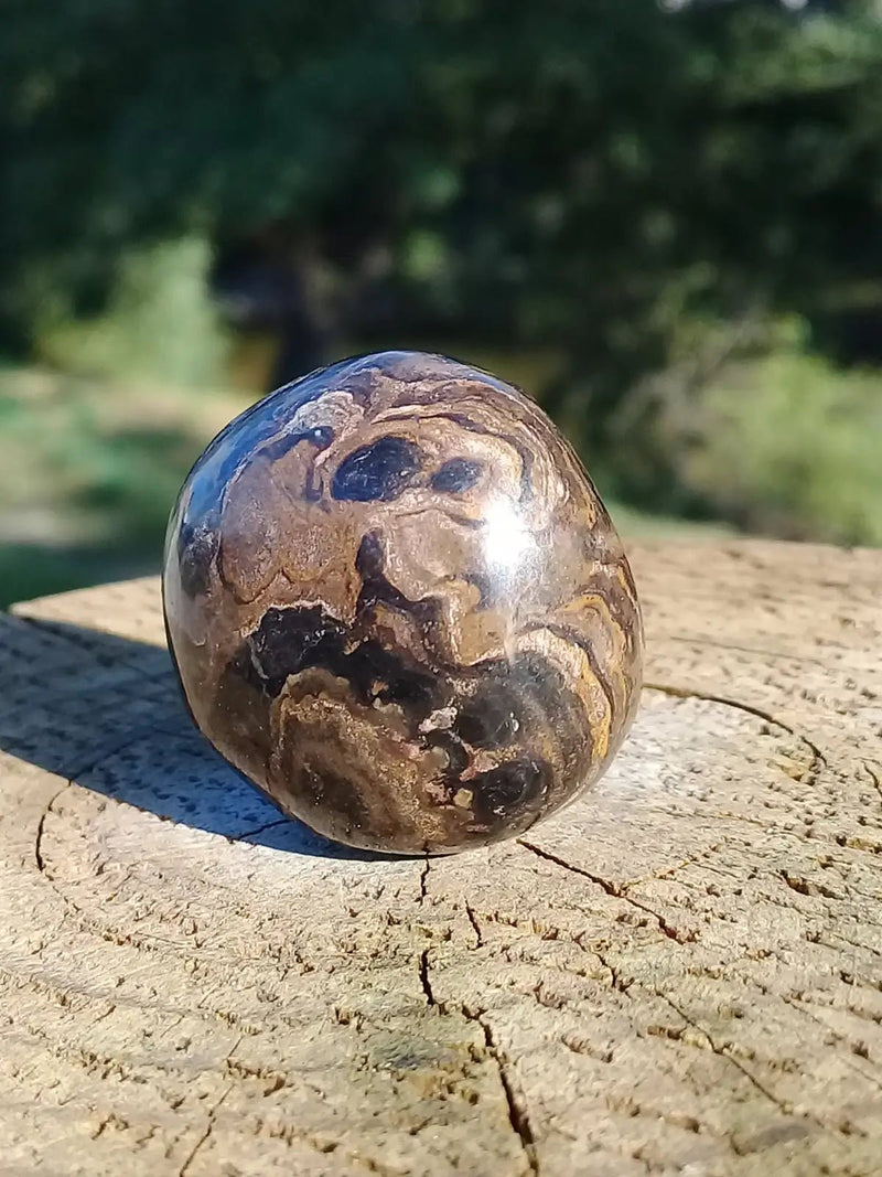 Chargez l&#39;image dans la visionneuse de la galerie, Stromatolite pierre roulée Grade A ++++ Stromatolite pierre roulée
