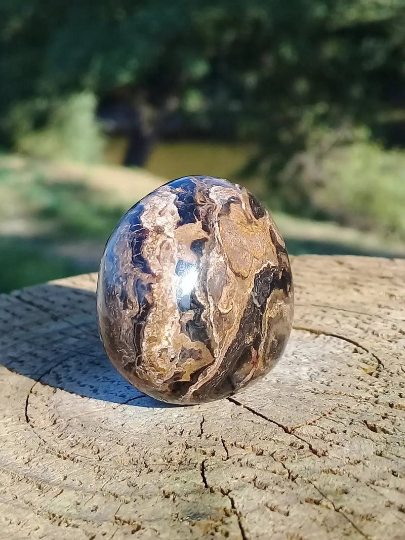 Chargez l&#39;image dans la visionneuse de la galerie, Stromatolite pierre roulée Grade A ++++ Stromatolite pierre roulée
