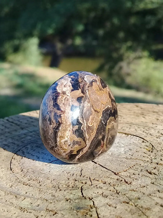 Stromatolite pierre roulée Grade A ++++ Stromatolite pierre roulée