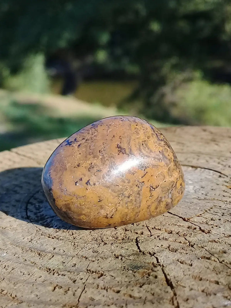 Chargez l&#39;image dans la visionneuse de la galerie, Stromatolite pierre roulée Grade A ++++ Stromatolite pierre roulée
