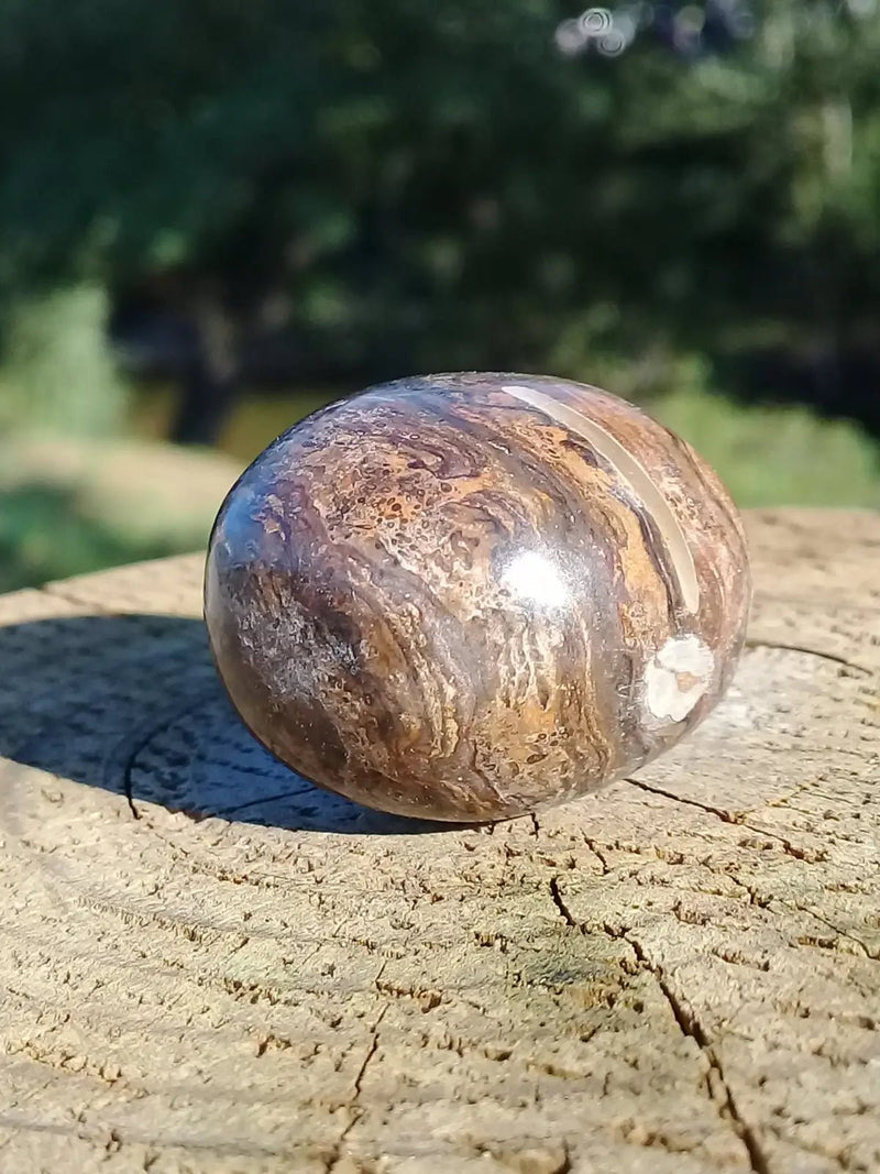 Chargez l&#39;image dans la visionneuse de la galerie, Stromatolite pierre roulée Grade A ++++ Stromatolite pierre roulée

