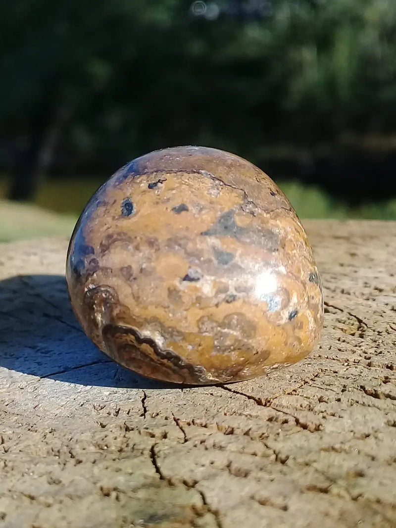 Load image into Gallery viewer, Stromatolite pierre roulée Grade A ++++ Stromatolite pierre roulée
