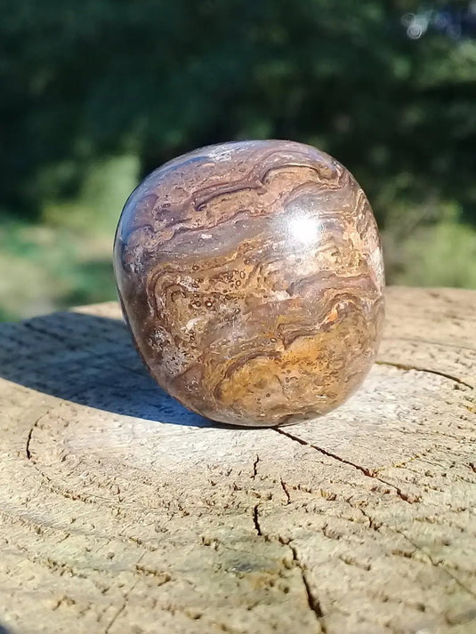 Stromatolite pierre roulée Grade A ++++ Stromatolite pierre roulée