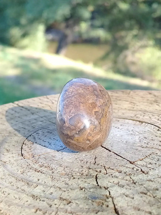 Stromatolite pierre roulée Grade A ++++ Stromatolite pierre roulée