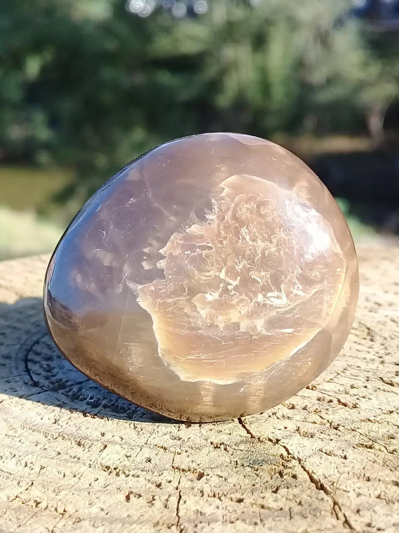 Load image into Gallery viewer, Stromatolite pierre roulée Grade A ++++ Stromatolite pierre roulée
