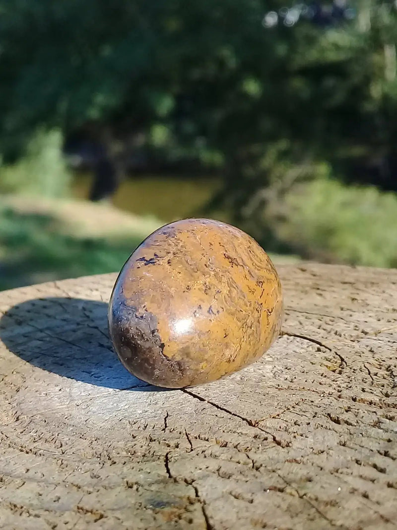 Chargez l&#39;image dans la visionneuse de la galerie, Stromatolite pierre roulée Grade A ++++ Stromatolite pierre roulée
