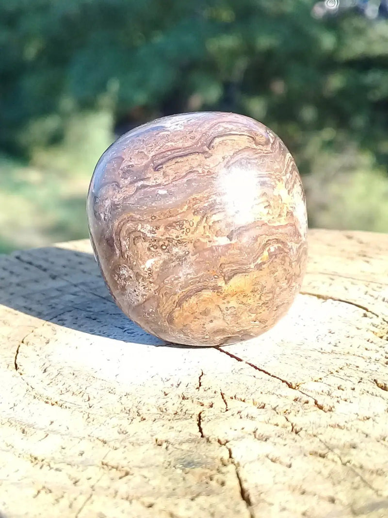 Chargez l&#39;image dans la visionneuse de la galerie, Stromatolite pierre roulée Grade A ++++ Stromatolite pierre roulée
