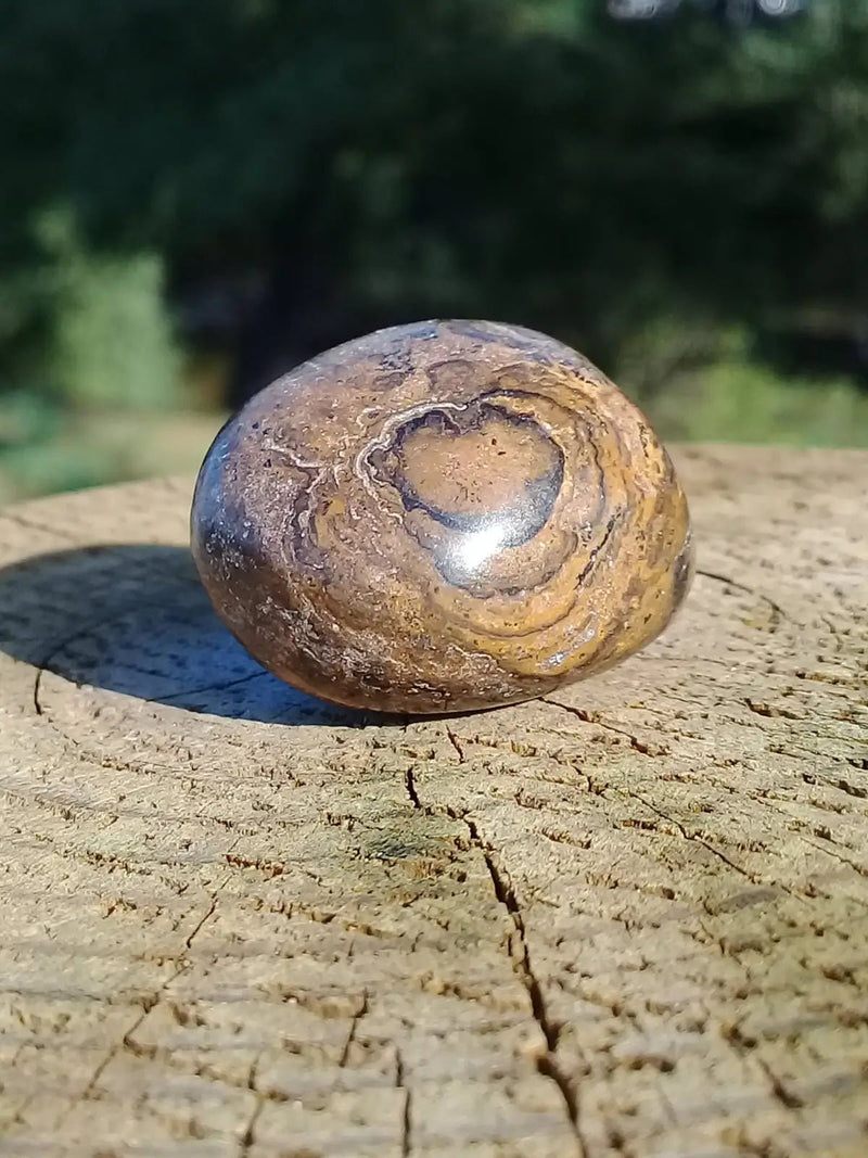 Chargez l&#39;image dans la visionneuse de la galerie, Stromatolite pierre roulée Grade A ++++ Stromatolite pierre roulée
