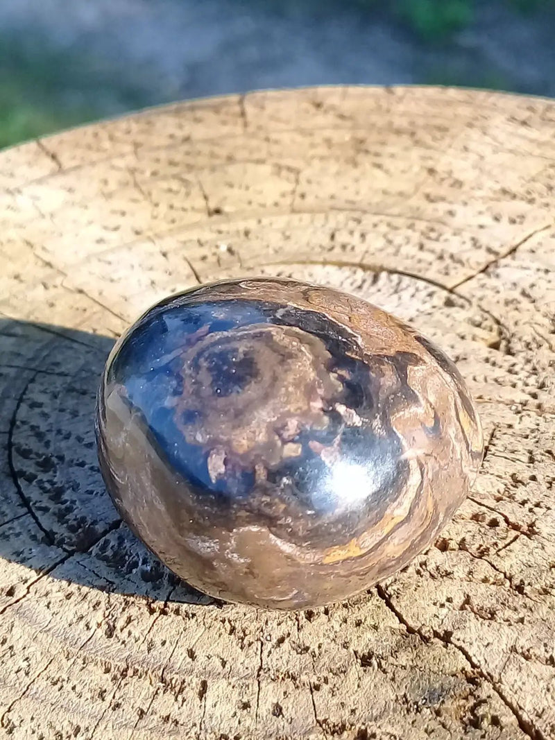 Chargez l&#39;image dans la visionneuse de la galerie, Stromatolite pierre roulée Grade A ++++ Stromatolite pierre roulée
