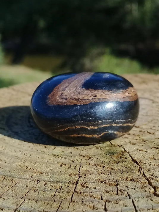 Stromatolite pierre roulée Grade A ++++ Stromatolite pierre roulée