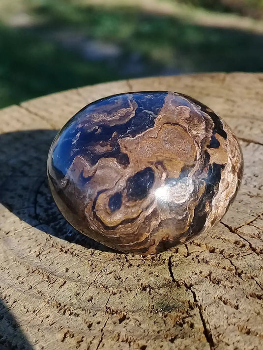 Stromatolite pierre roulée Grade A ++++ Stromatolite pierre roulée
