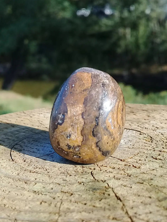 Stromatolite pierre roulée Grade A ++++ Stromatolite pierre roulée