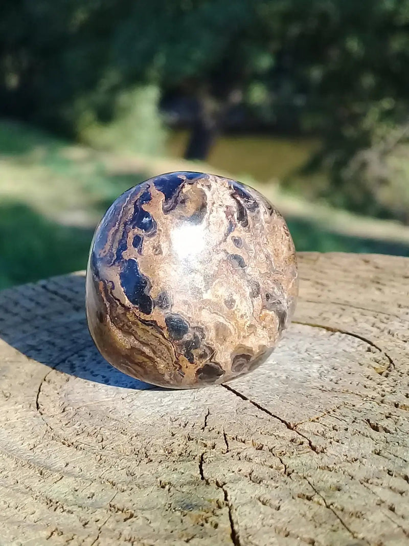 Chargez l&#39;image dans la visionneuse de la galerie, Stromatolite pierre roulée Grade A ++++ Stromatolite pierre roulée
