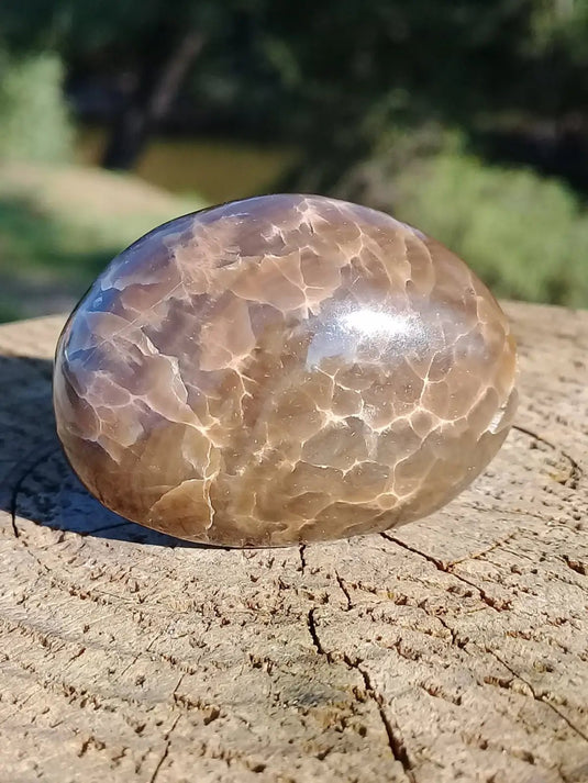 Stromatolite pierre roulée Grade A ++++ Stromatolite pierre roulée