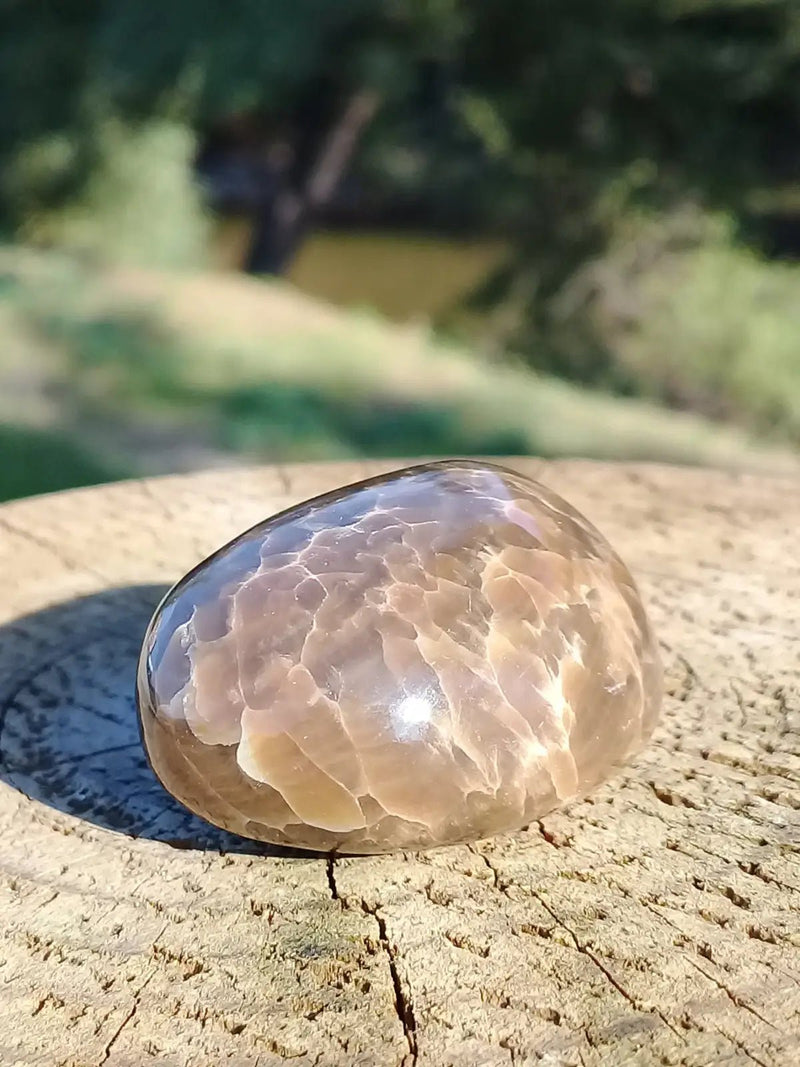 Chargez l&#39;image dans la visionneuse de la galerie, Stromatolite pierre roulée Grade A ++++ Stromatolite pierre roulée
