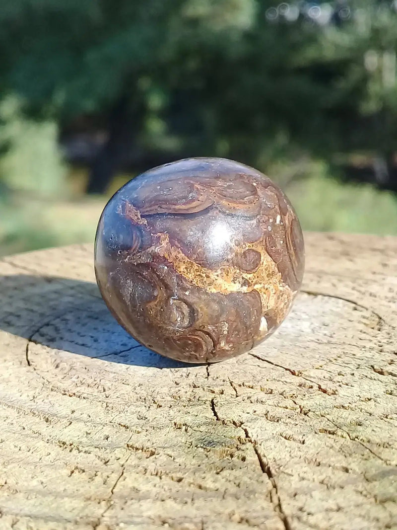 Load image into Gallery viewer, Stromatolite pierre roulée Grade A ++++ Stromatolite pierre roulée
