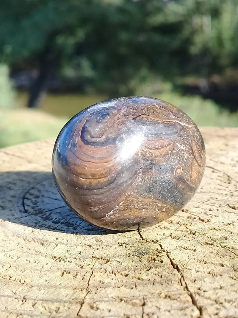 Chargez l&#39;image dans la visionneuse de la galerie, Stromatolite pierre roulée Grade A ++++ Stromatolite pierre roulée
