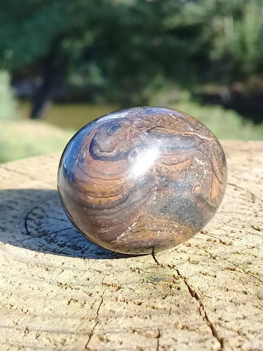 Stromatolite pierre roulée Grade A ++++ Stromatolite pierre roulée