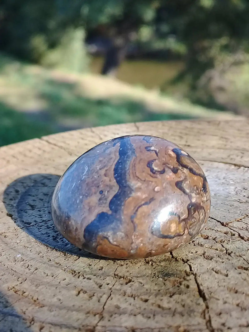 Load image into Gallery viewer, Stromatolite pierre roulée Grade A ++++ Stromatolite pierre roulée
