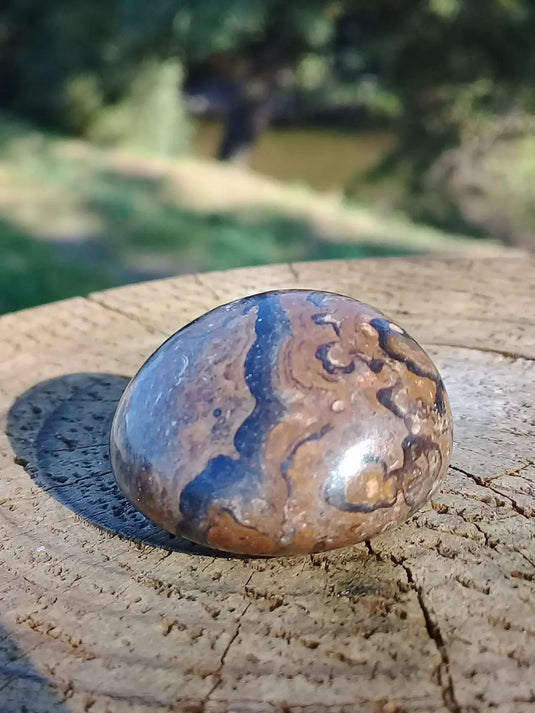 Stromatolite pierre roulée Grade A ++++ Stromatolite pierre roulée