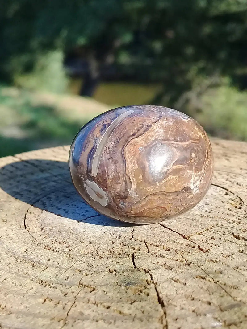 Chargez l&#39;image dans la visionneuse de la galerie, Stromatolite pierre roulée Grade A ++++ Stromatolite pierre roulée
