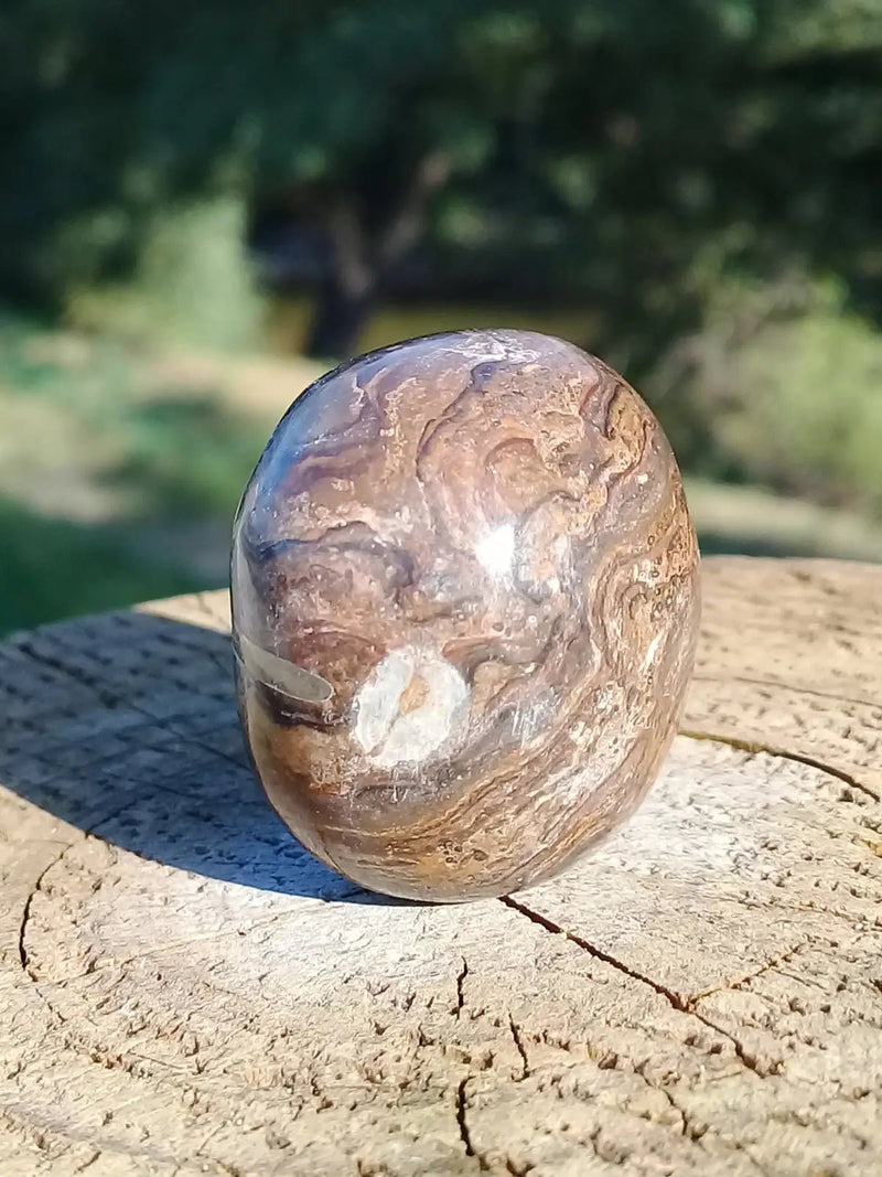 Chargez l&#39;image dans la visionneuse de la galerie, Stromatolite pierre roulée Grade A ++++ Stromatolite pierre roulée
