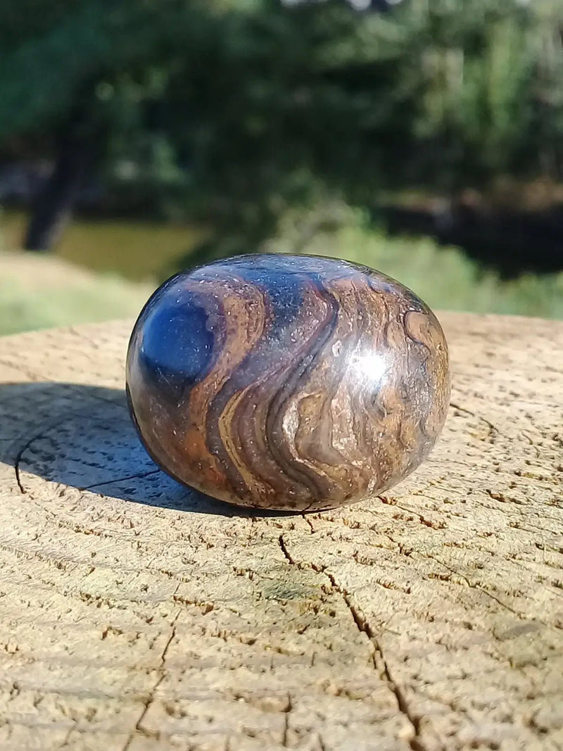 Chargez l&#39;image dans la visionneuse de la galerie, Stromatolite pierre roulée Grade A ++++ Stromatolite pierre roulée
