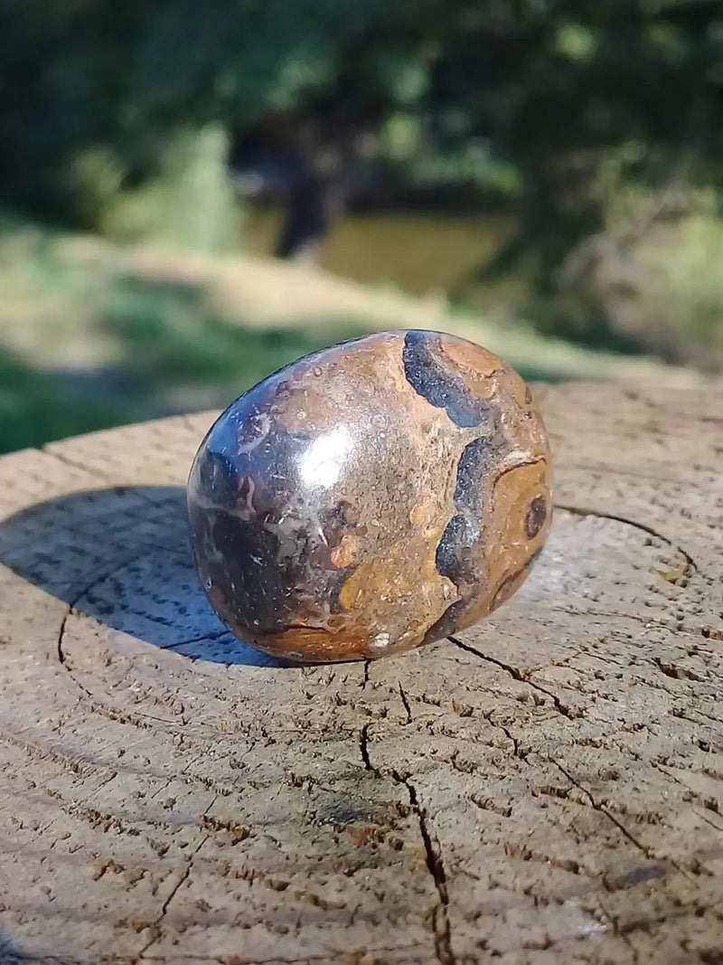 Load image into Gallery viewer, Stromatolite pierre roulée Grade A ++++ Stromatolite pierre roulée
