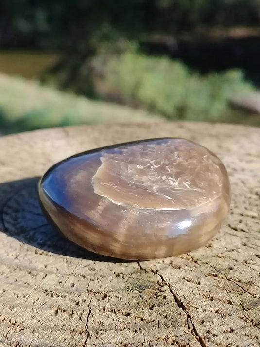 Stromatolite pierre roulée Grade A ++++ Stromatolite pierre roulée