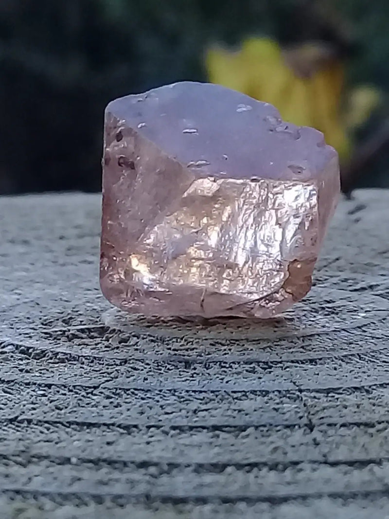 Chargez l&#39;image dans la visionneuse de la galerie, Topaze brune du Pakistan Cristal brut naturel Grade A++++ (Non traité) Topaze Impériale du Pakistan Cristal brute
