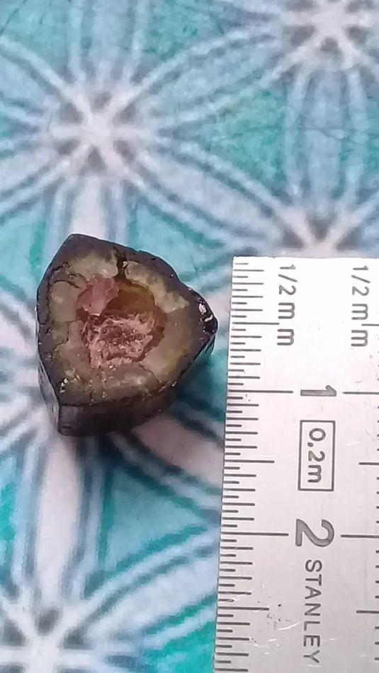 Tourmaline melon d’eau fragment brut Grade A ++++ (Rare) Tourmaline melon d’eau fragment brut Grade A ++++