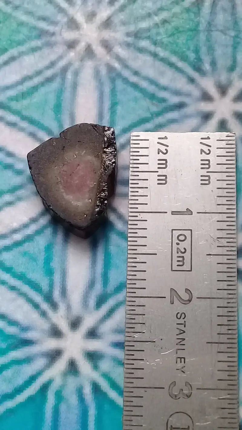 Load image into Gallery viewer, Tourmaline melon d’eau fragment brut Grade A ++++ (Rare) Tourmaline melon d’eau fragment brut Grade A ++++
