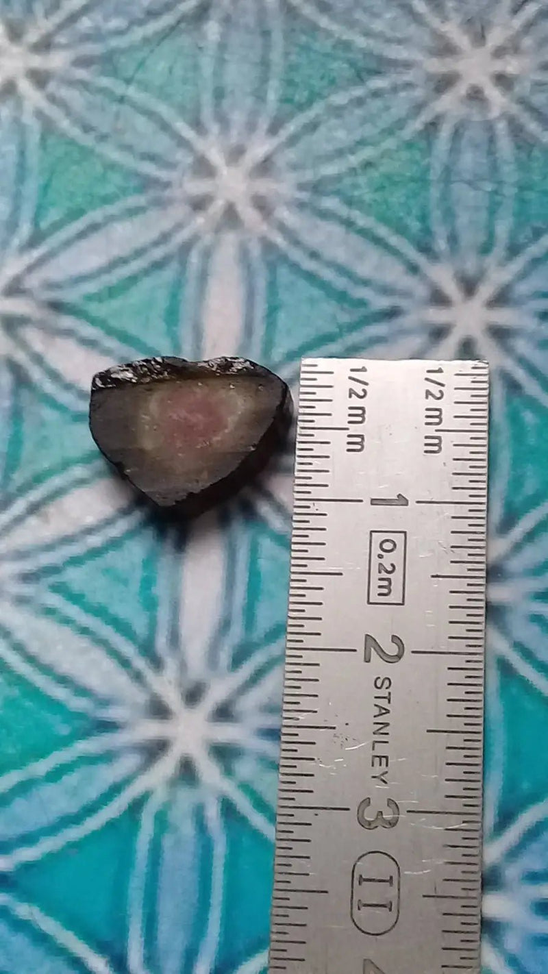 Load image into Gallery viewer, Tourmaline melon d’eau fragment brut Grade A ++++ (Rare) Tourmaline melon d’eau fragment brut Grade A ++++
